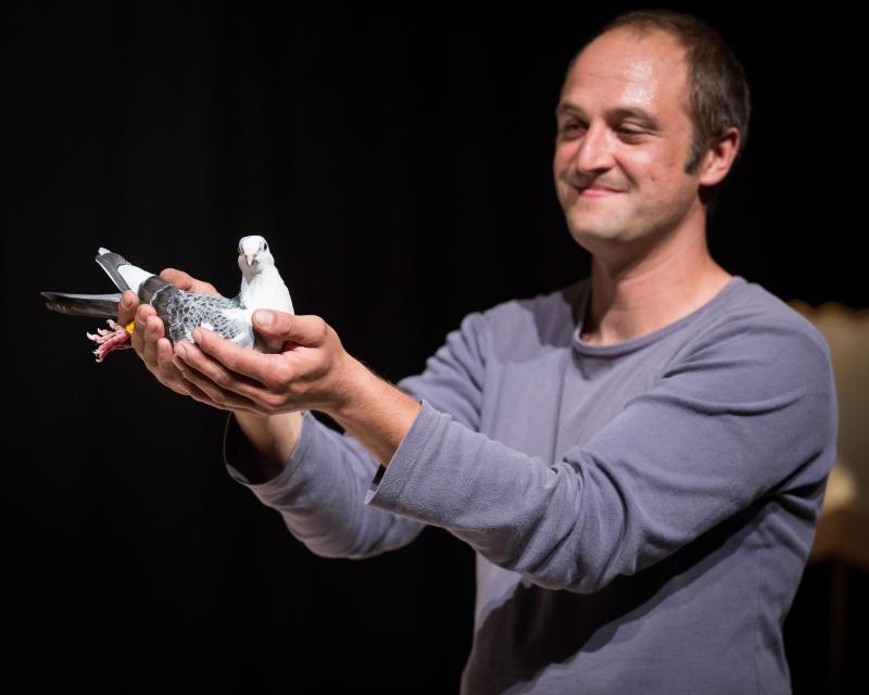 Photo atelier ponctuel Autour du spectacle Pigeons