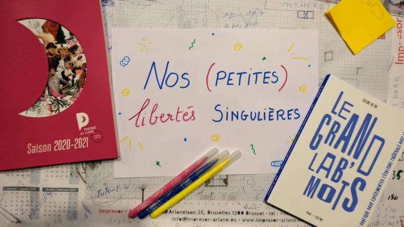 Photo atelier ponctuel Nos (petites) libertés singulières